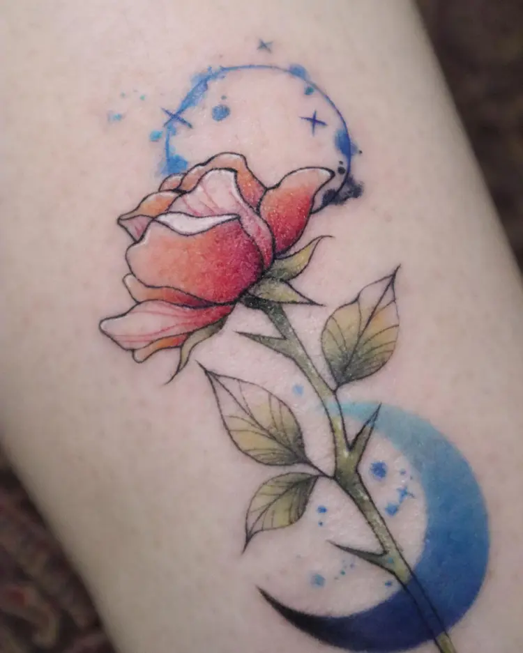 Flower, Rose