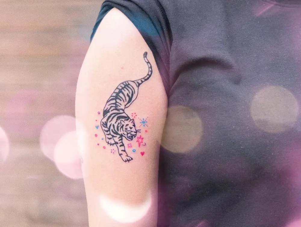 Tiger, Animal
