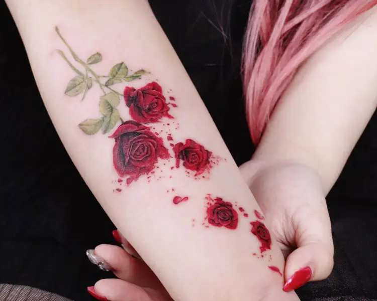Rose, Nature, Flower