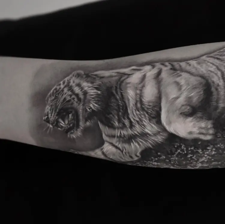 Tiger