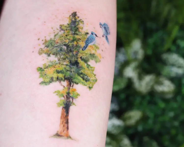 Animal, Nature