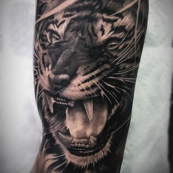 Tiger, 팬서