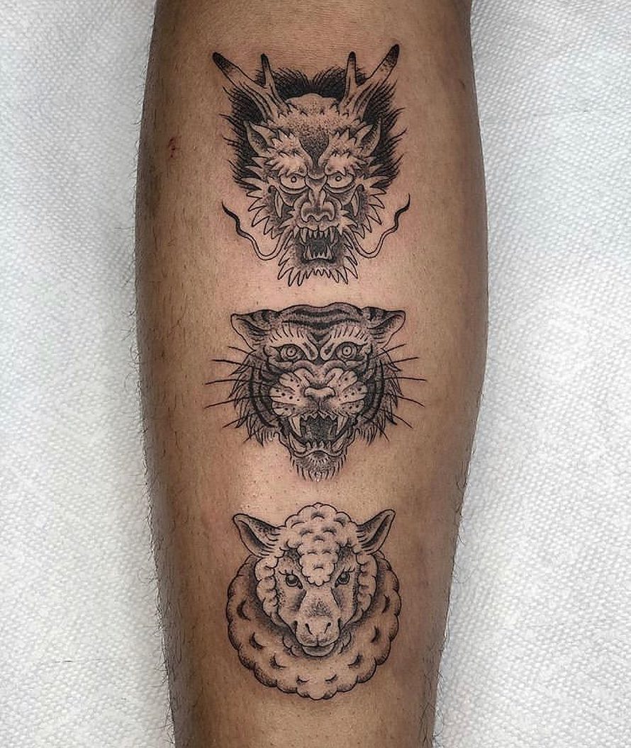 Tiger, Animal