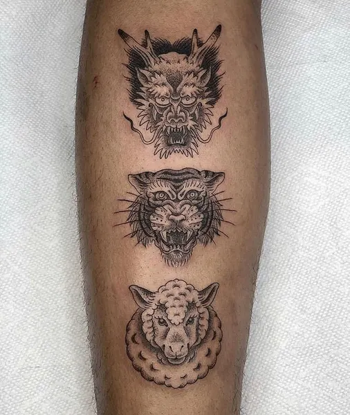 Tiger, Animal