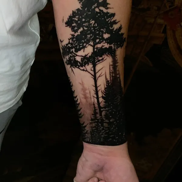 Nature, 숲, 소나무