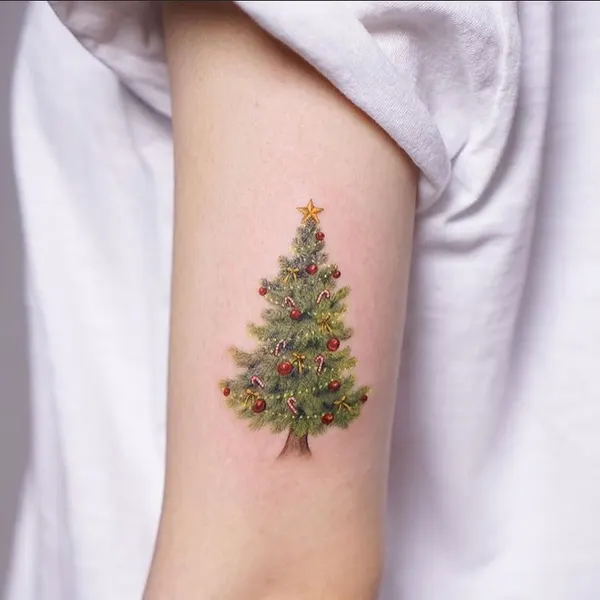 Nature, 소나무
