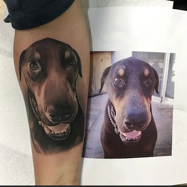 Animal