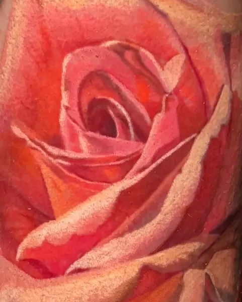Flower, Rose, Nature