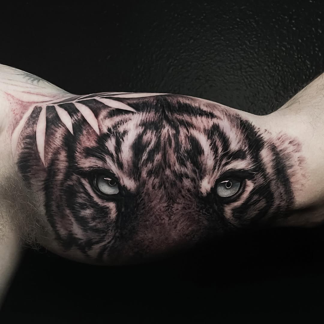 Tiger, 치타, 일본 호랑이, 중국 호랑이, 한국 호랑이, 사자자리