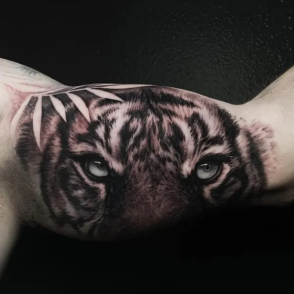Tiger, 치타, 일본 호랑이, 중국 호랑이, 한국 호랑이, 사자자리