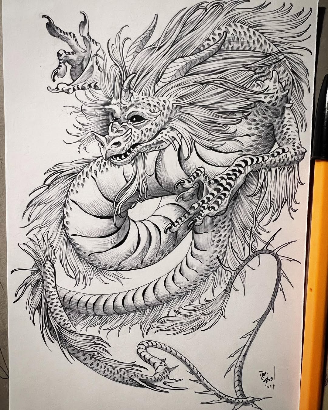 Dragon