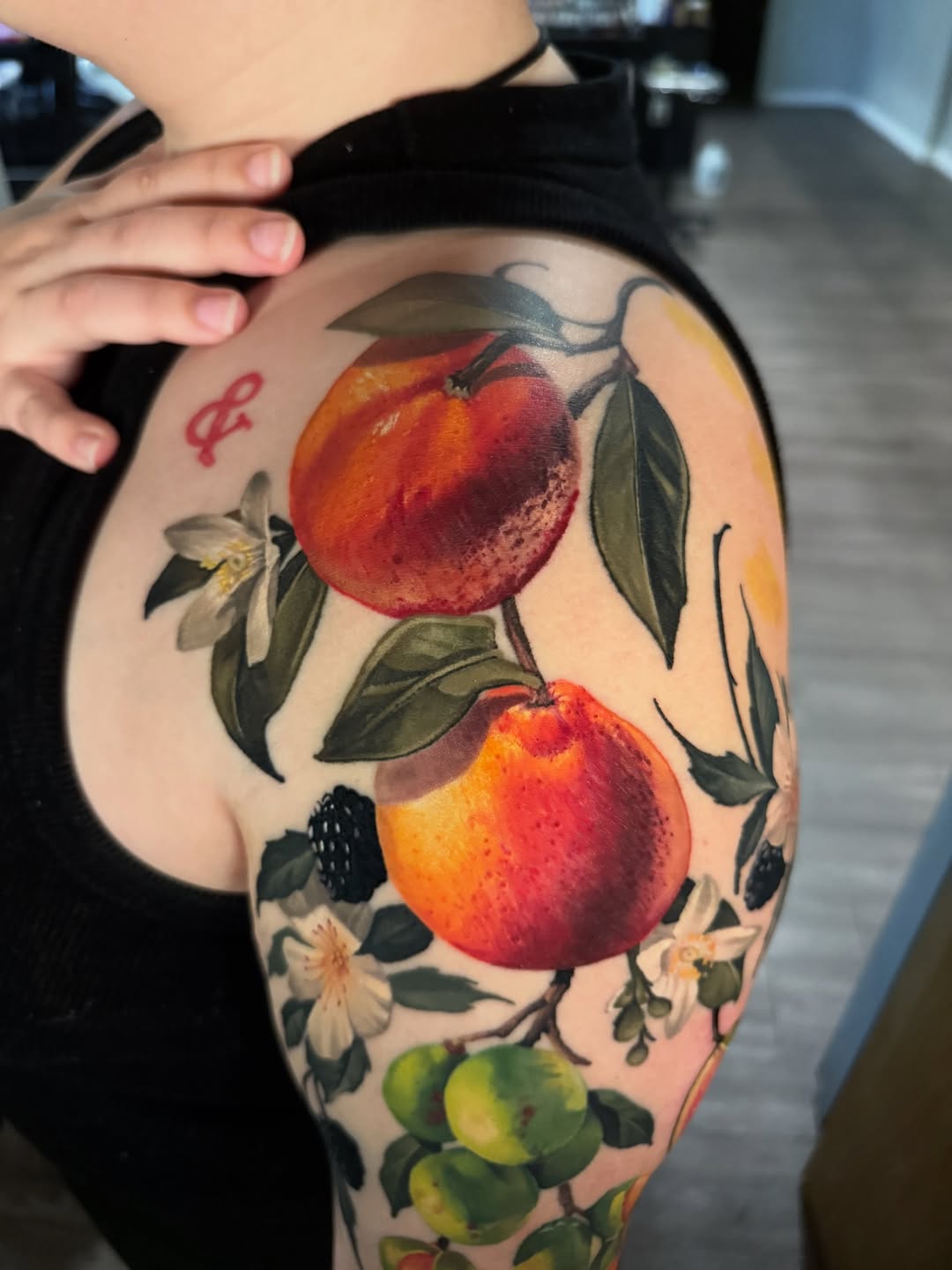 Flower, Rose, Nature