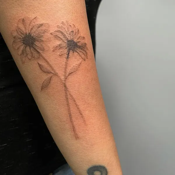 Flower, 산호, 민들레, 해파리, 뿌리, 야생화