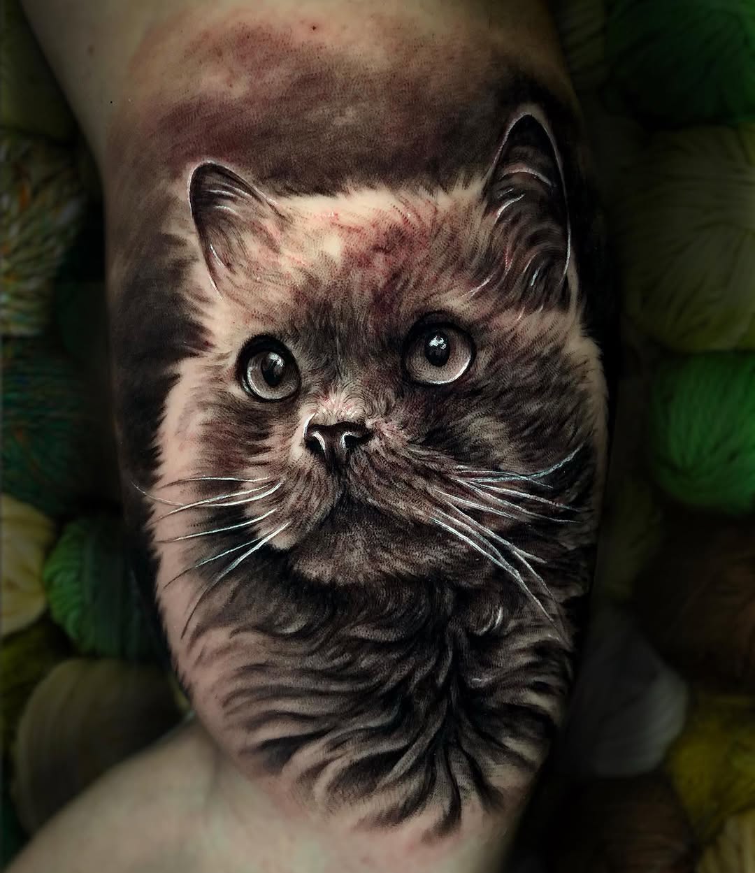 Animal