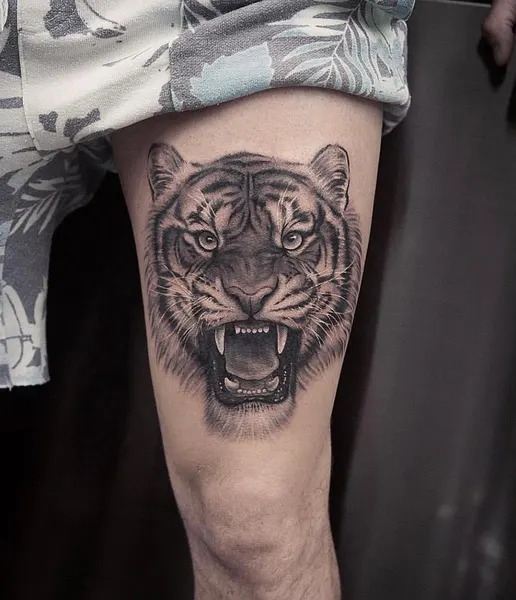 Tiger, 재규어, 사자자리