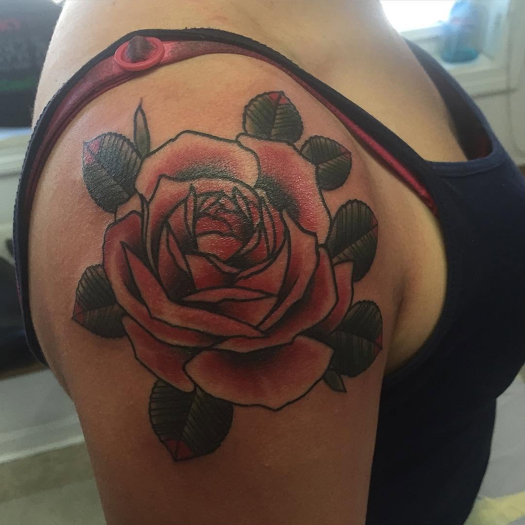 Flower, Nature, Rose