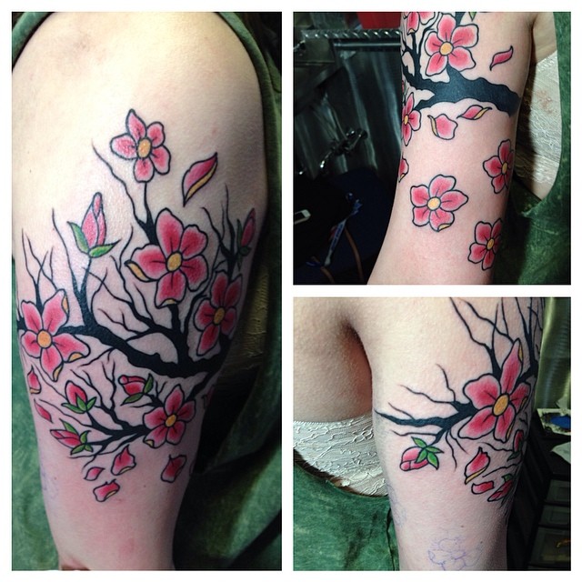 Flower, 벚꽃, 매화