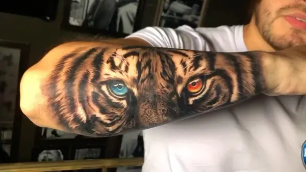 Tiger, 재규어, 일본 호랑이