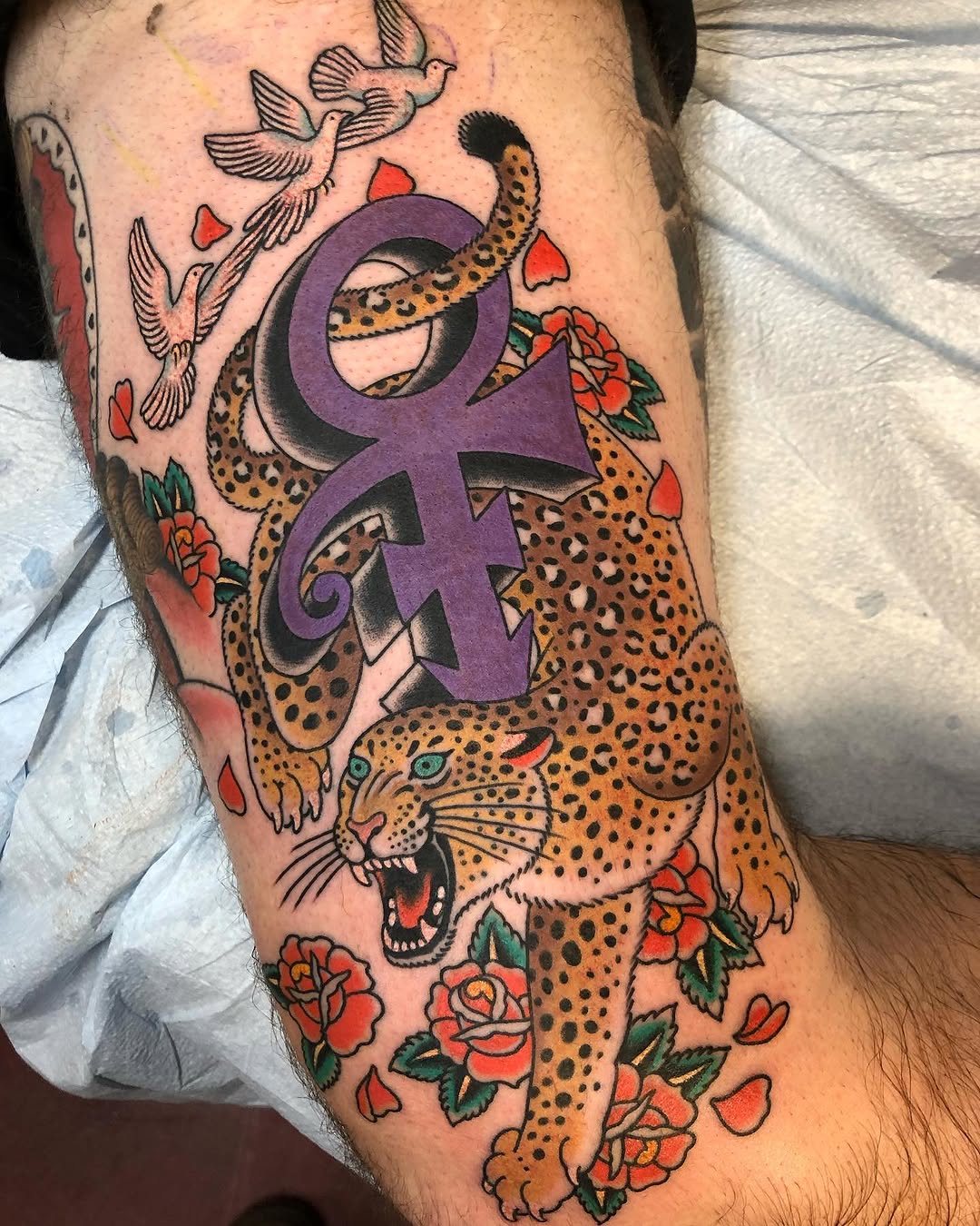 Tiger, Animal