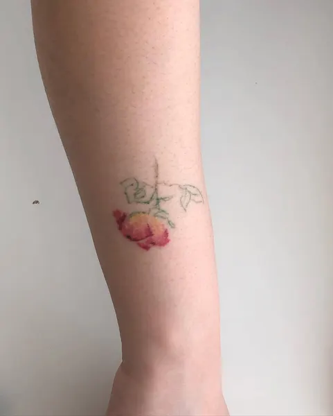 Flower, Rose