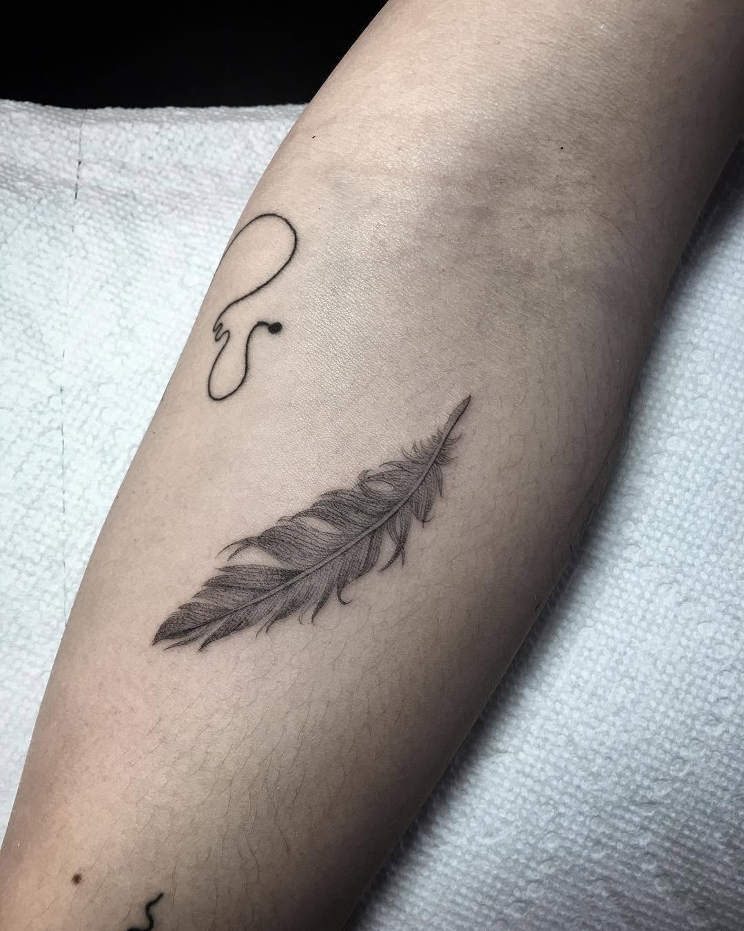잎, Nature, 깃털