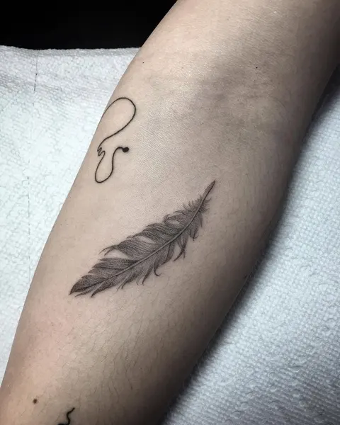 잎, Nature, 깃털