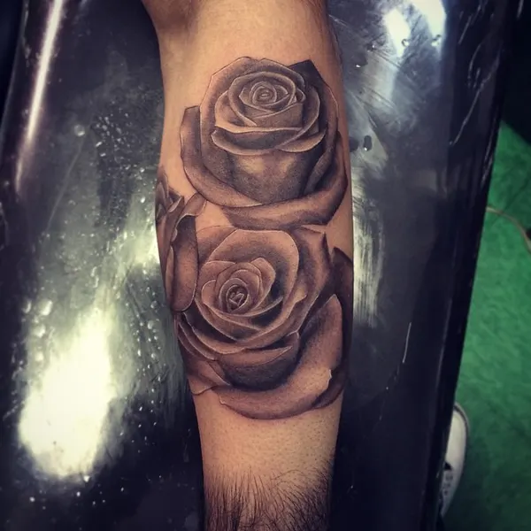 Flower, Rose