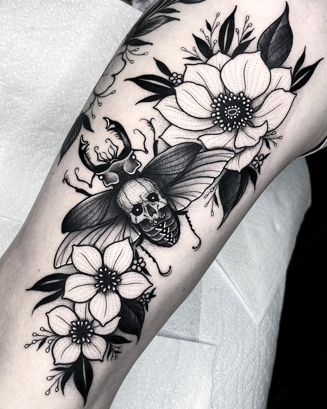Animal, Flower, Rose