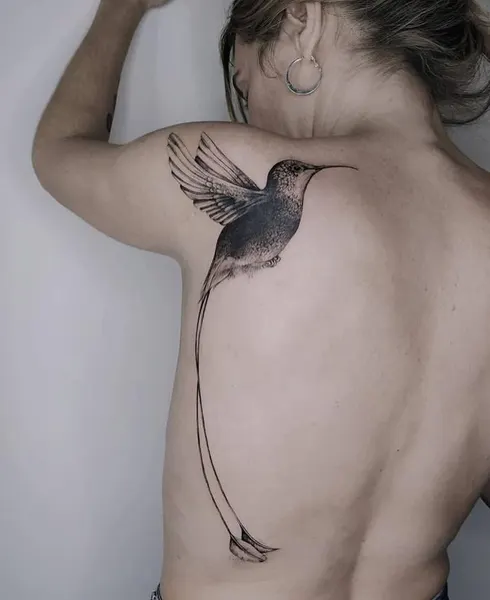 바람, 백조, 새, 학, 날개, 제비, 참새, 게이샤, 비대칭, 비둘기, 앵무새, 잉크병, 카타나, 이레즈미, 일본 학, 한국 학, 큰 타투, 등 전체 타투, 벌새, 수탉, 까마귀, 수묵화, 오리엔탈