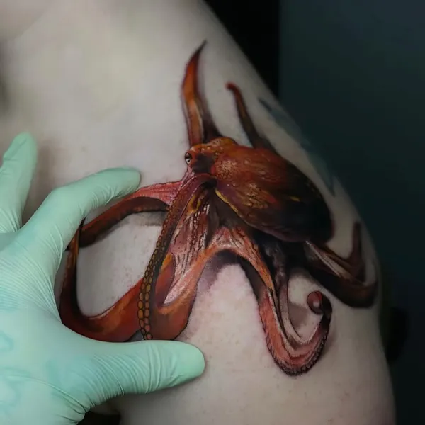 게, Animal, 문어, 오징어, 크라켄, 케르베로스, 랍스터