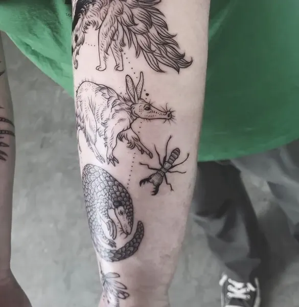 Dragon