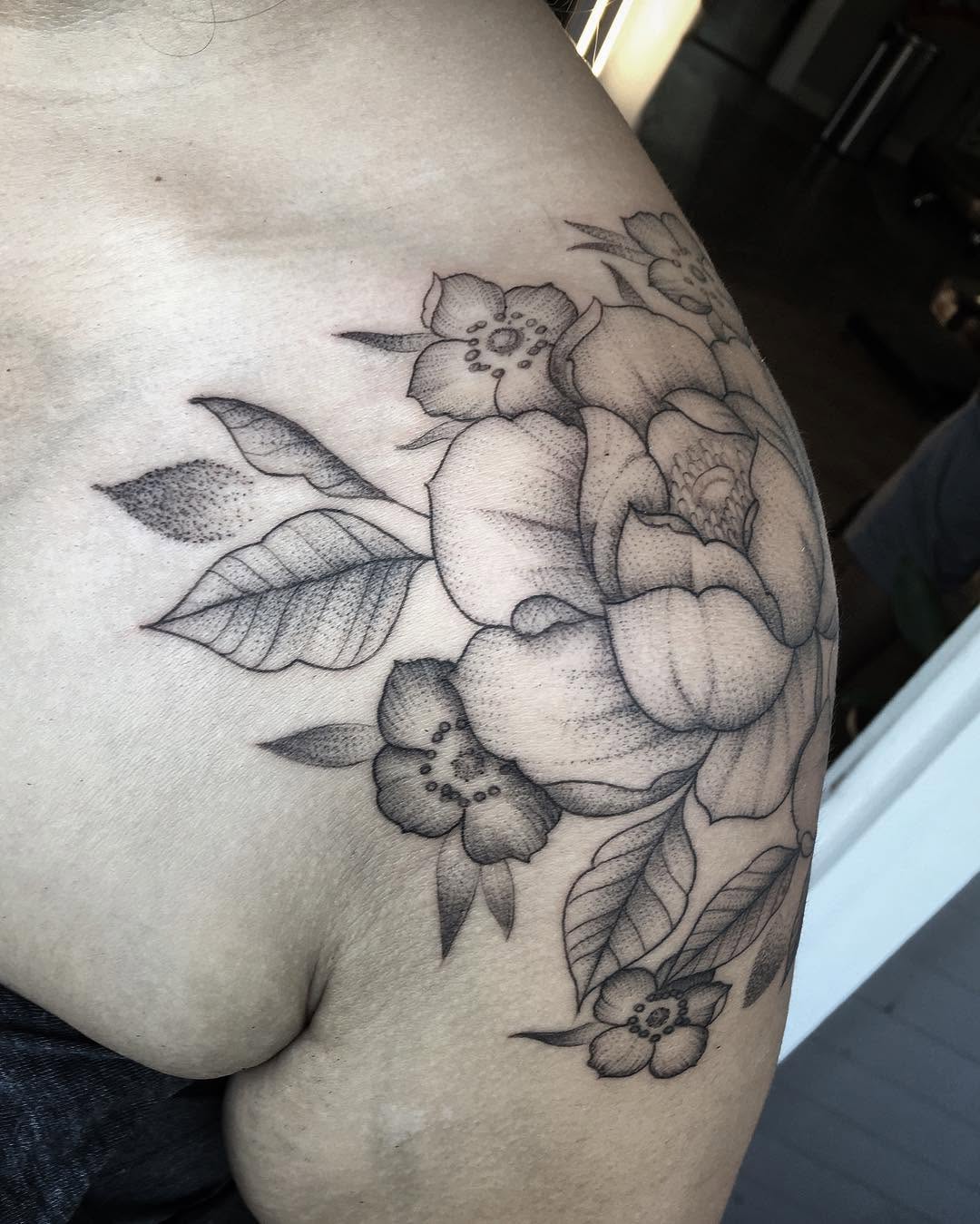 Flower, Rose, Nature