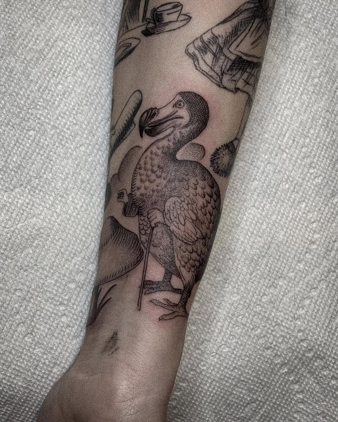 Animal