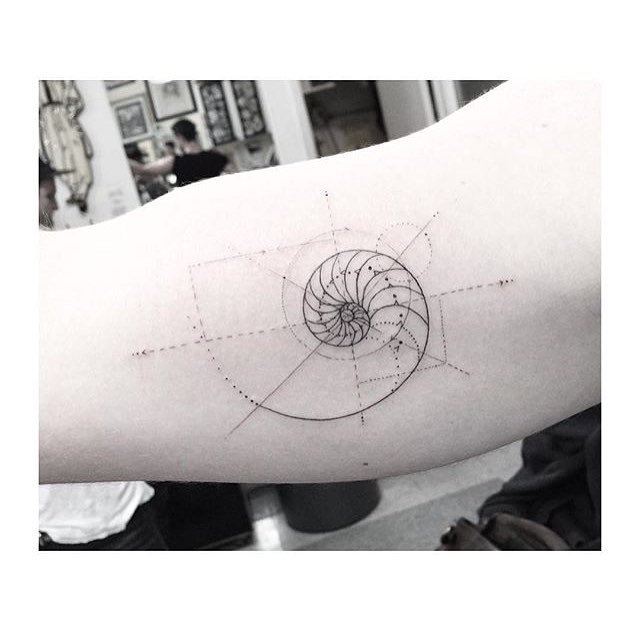 Geometric, Nature, 원, 나선