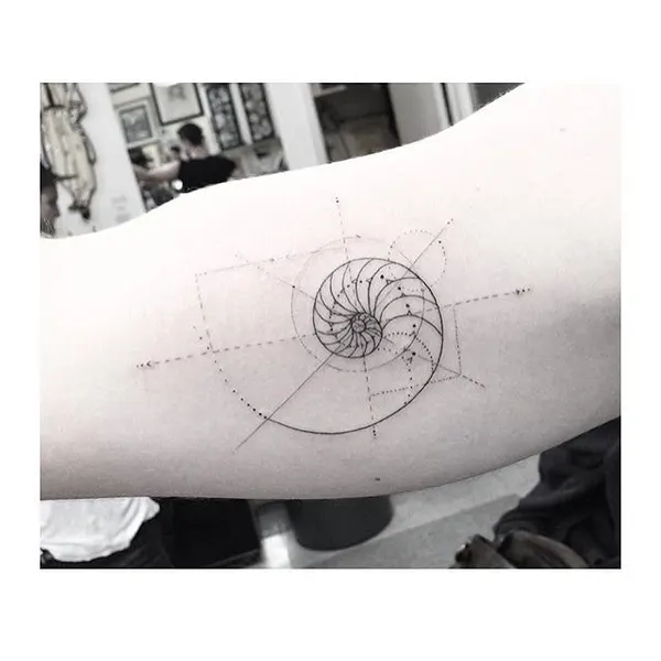 Geometric, Nature, 원, 나선