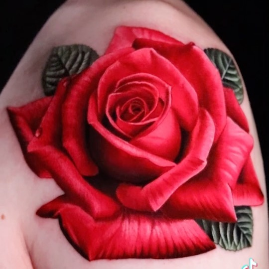 Flower, Rose