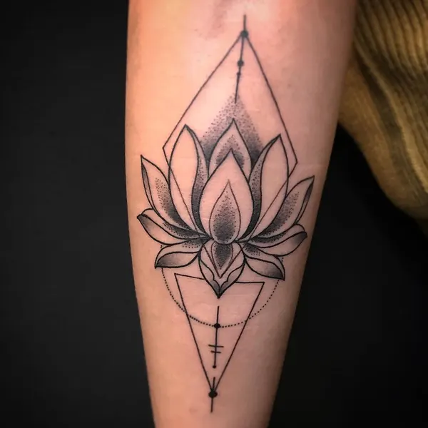 Flower, 연꽃, 한국 연꽃, 장식, 다이아몬드