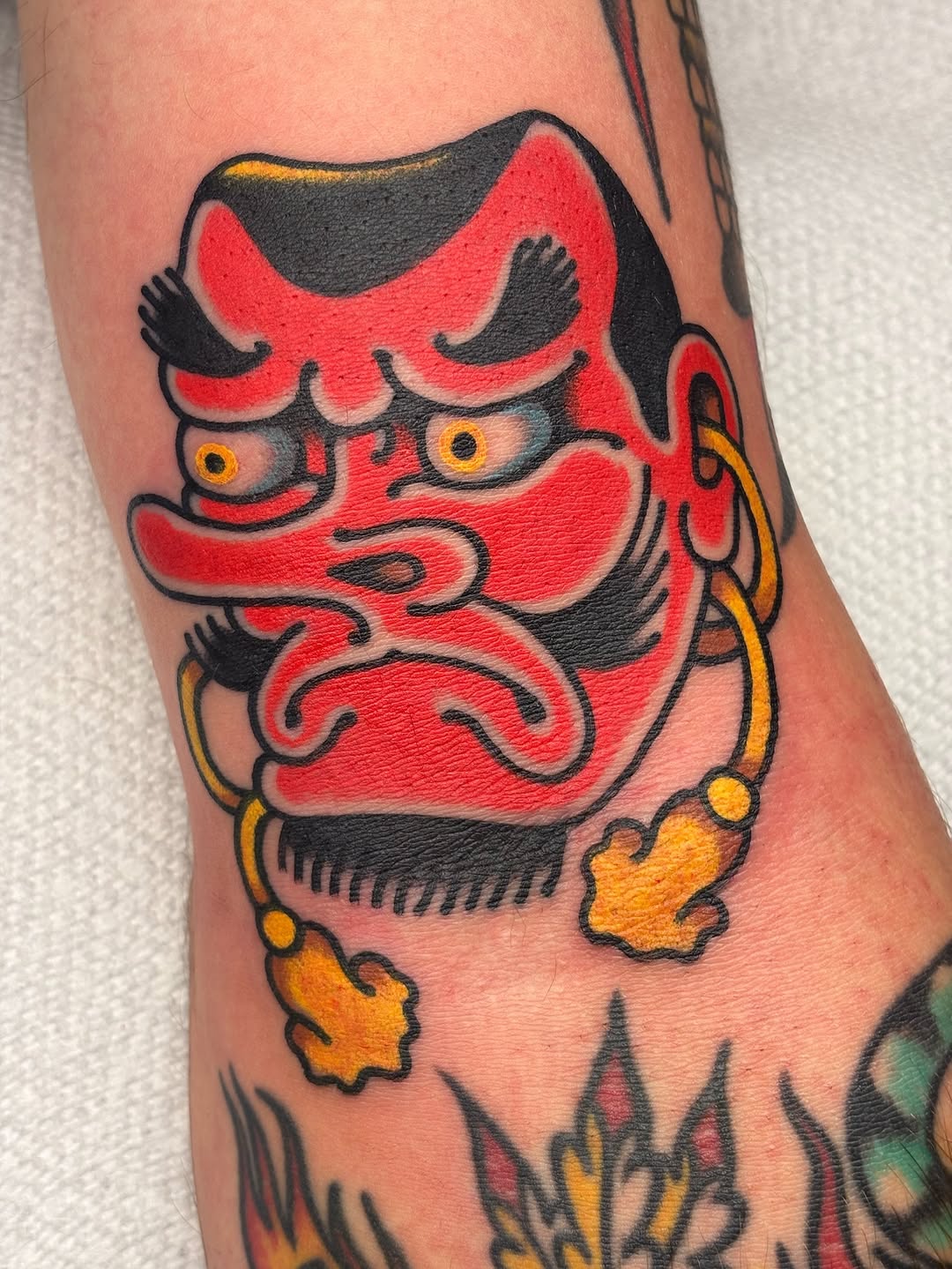 거북이, 바다거북, 조개껍데기
