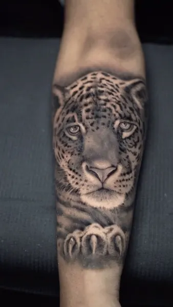 Animal, 치타, 팬서, 표범, 재규어, 중국 호랑이, Tiger