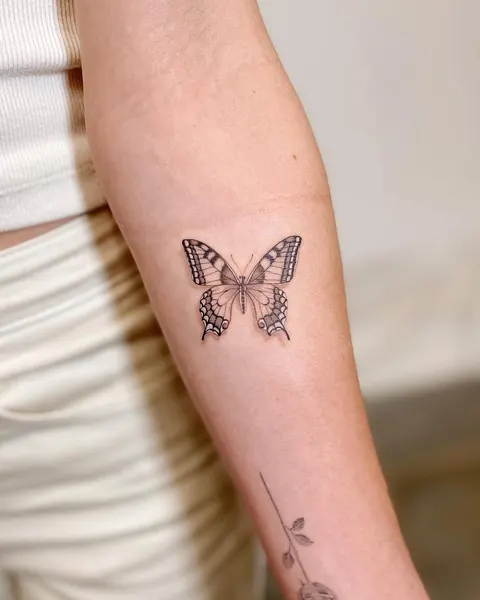Animal, Nature, 나방