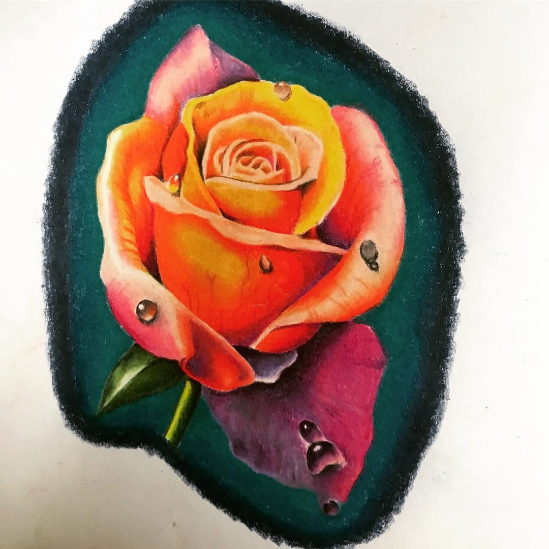 Flower, Rose