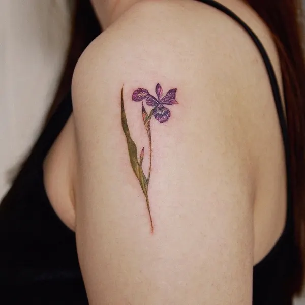 Flower, 백합, 난초, 라벤더