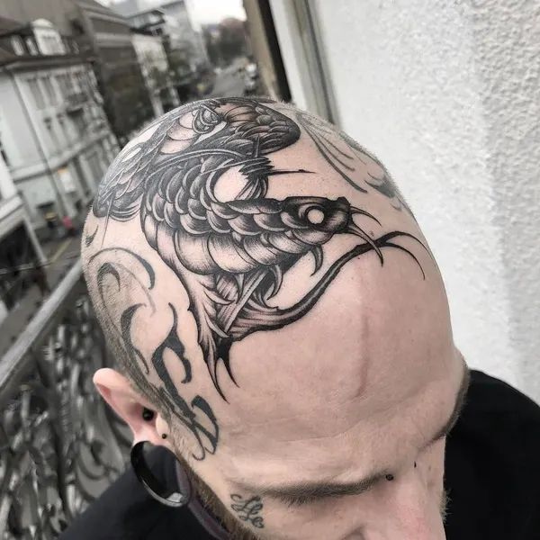 Dragon, 뇌