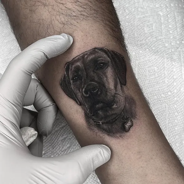 Animal