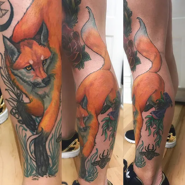 Animal, 여우