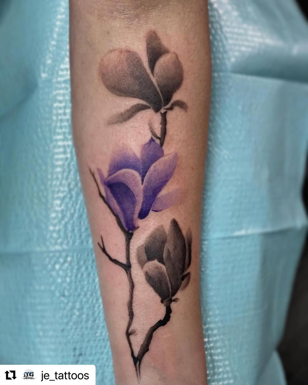 Flower, Rose, 난초, 목련, 아이리스