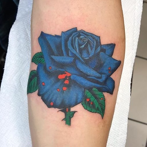 Flower, Rose