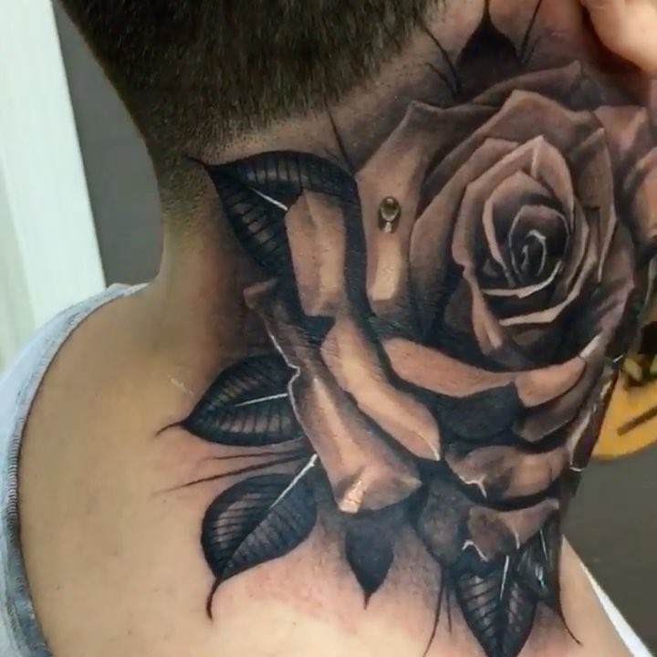 Flower, Nature, Rose