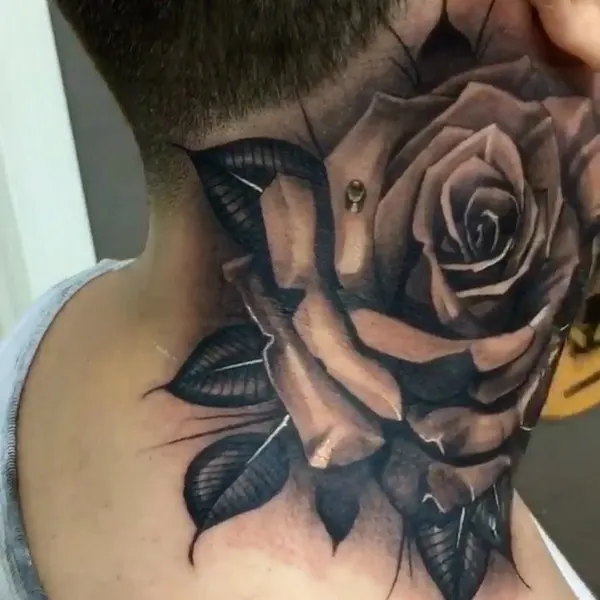 Flower, Nature, Rose