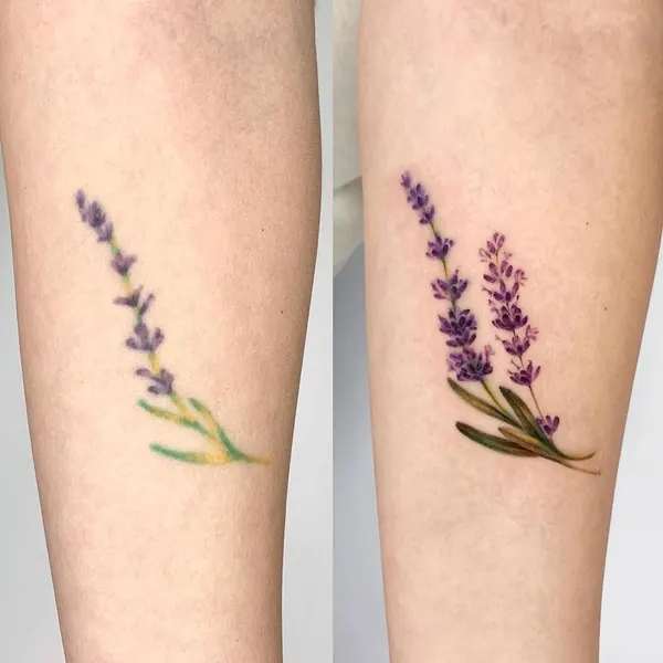 Flower, 라벤더